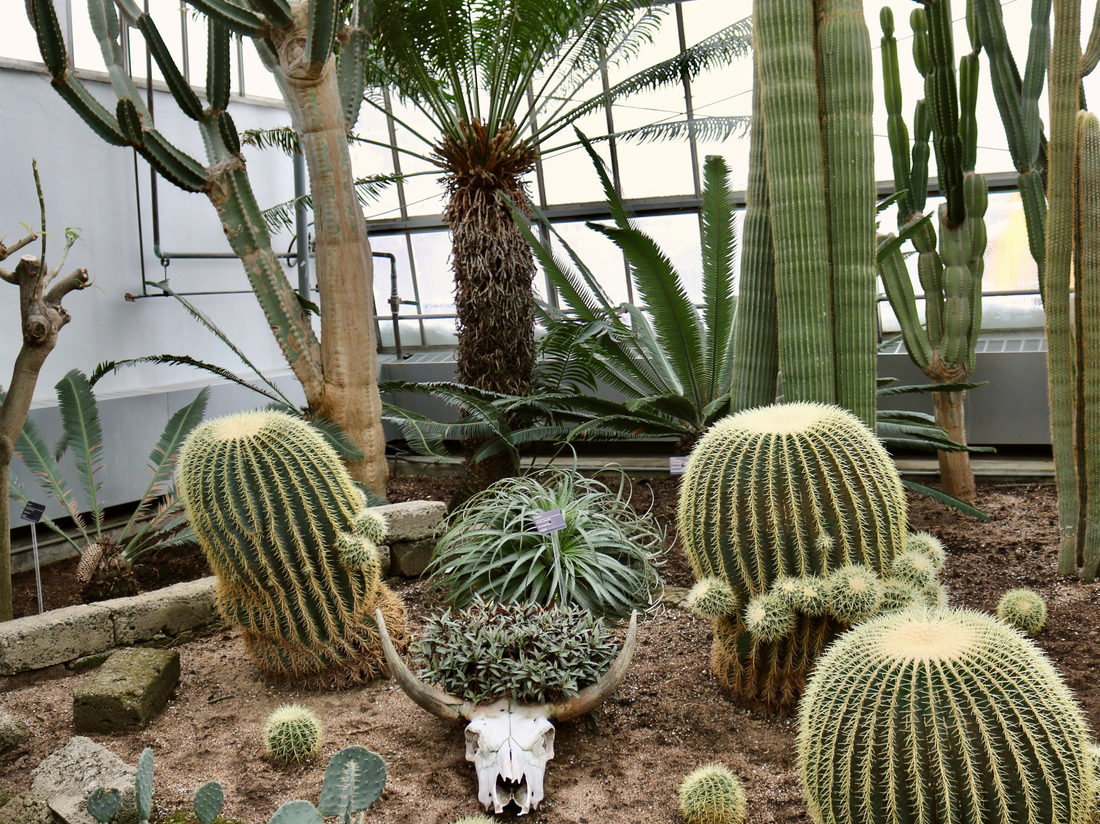 Jardin botanique de Montréal