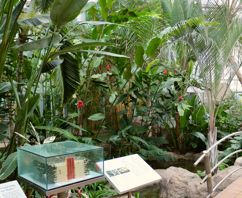 Jardin botanique de Montréal